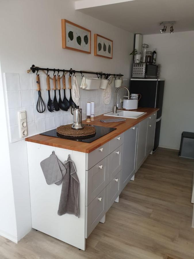 Ferienwohnung Lindenhof, Zentrumsnah Mit Terrasse Und Grillmoeglichkeit Magdeburg Zewnętrze zdjęcie