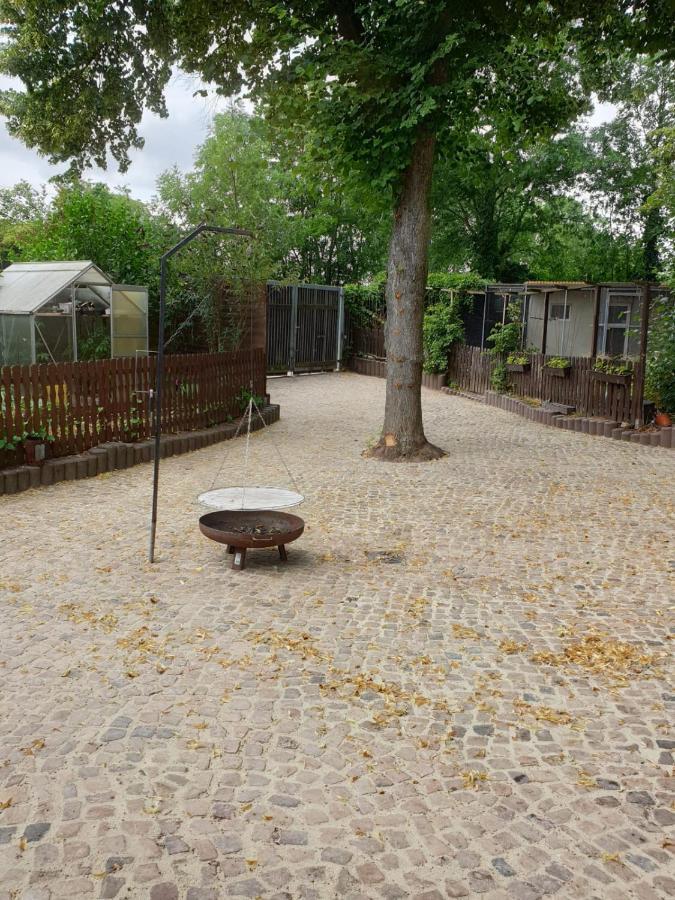 Ferienwohnung Lindenhof, Zentrumsnah Mit Terrasse Und Grillmoeglichkeit Magdeburg Zewnętrze zdjęcie